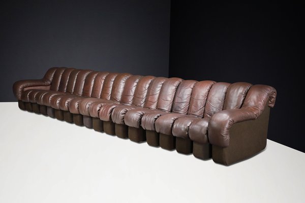 DS-600 Snake Sofa in Patinated Brown Leather attributed to Ueli Berger for de Sede, 1970s, Set of 18-TRW-1789494