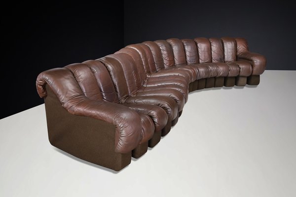 DS-600 Snake Sofa in Patinated Brown Leather attributed to Ueli Berger for de Sede, 1970s, Set of 18-TRW-1789494