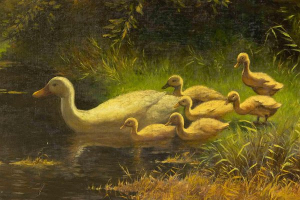 Ducks on the Waterfront, Oil on Linen, Early 20th Century-ZCI-2032695