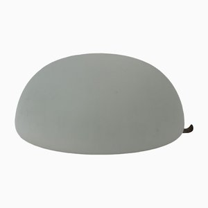 Dutch Ceiling Lamp in Matte Glass from Gispen, 1930s-BGP-1325241