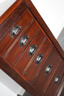 Dutch Mahogany Apothecary Cabinet, 1930s-XO-1168402