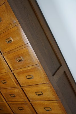 Dutch Oak Apothecary Filing Cabinet with Folding Doors, 1930s-XO-1158539