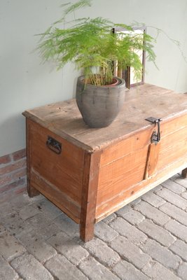 Dutch Pine Blanket Trunk, 1800s-GTG-1693417