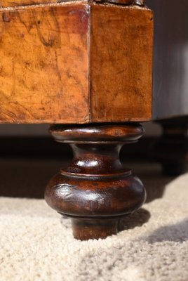 Early 19th Century Burr Walnut Bookcase-RVK-1817682