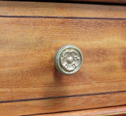 Early 19th Century Secretaire in Mahogany & Veneer-RVK-1340692