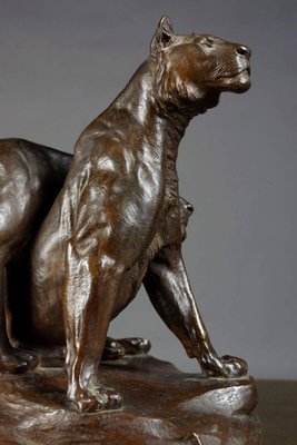 Early 20th Century Bronze Plastic Tiger Couple on Rocks attributed to G. Gardet, 1863-FLW-1402279