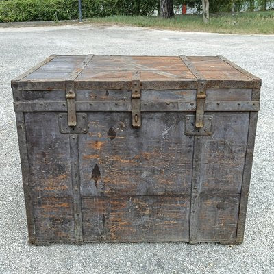 Early 20th Century Fir Trunk-RAQ-1702950