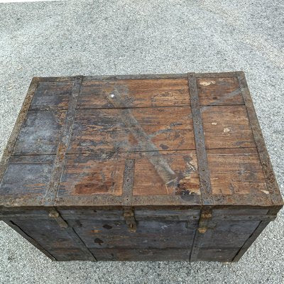 Early 20th Century Fir Trunk-RAQ-1702950