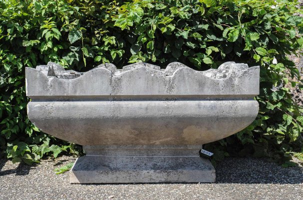 Early 20th Century French Neoclassical Planter-TDA-1376407