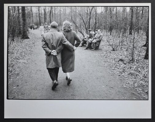 Early Spring in Cologne City Forest, Germany, 1954-DYV-701265