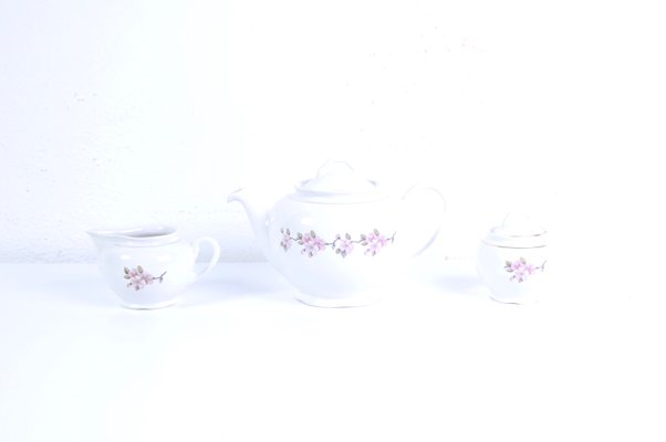 Earthenware Ceramic Flower Coffee Tea Service from Laveno, 1950s, Set of 9-XSG-1345409