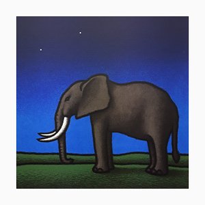 Elefante, 1997 Tino Stefanoni-PLZ-1180511