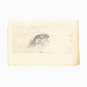 Emmanuel Gondouin, Frog, Drawing in Pencil, 1930s-ZCI-2029550