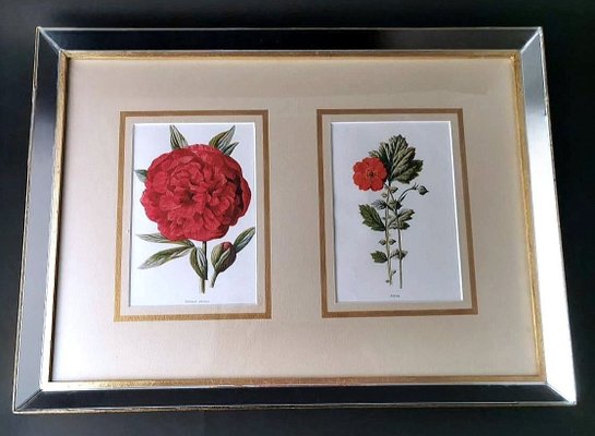 English Artist, Flowers, Chromolithographic Print Diptych, 1900, Framed-QRS-1788228