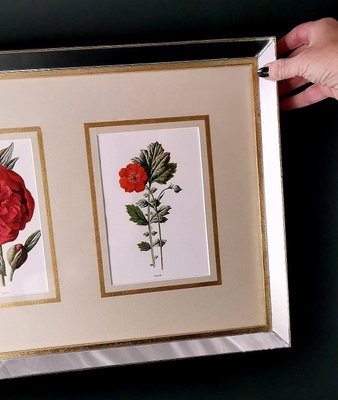 English Artist, Flowers, Chromolithographic Print Diptych, 1900, Framed-QRS-1788228