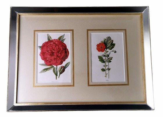 English Artist, Flowers, Chromolithographic Print Diptych, 1900, Framed-QRS-1788228