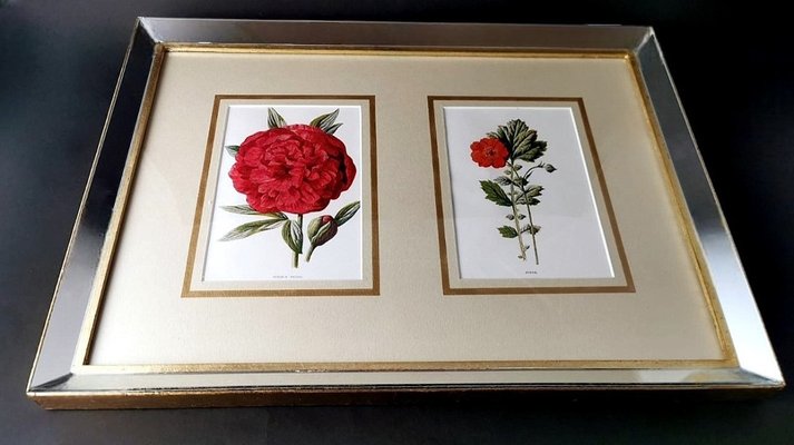 English Artist, Flowers, Chromolithographic Print Diptych, 1900, Framed-QRS-1788228