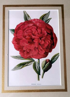 English Artist, Flowers, Chromolithographic Print Diptych, 1900, Framed-QRS-1788228