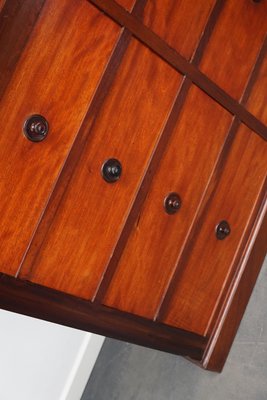 English Mahogany Commode Bank of Drawers, 1930s-XO-1287088