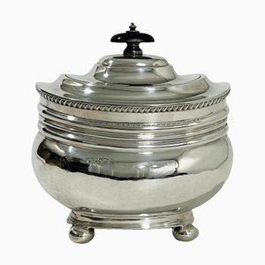 English Sterling Silver Tea Caddy, Sheffield, 1907-UCH-1224142