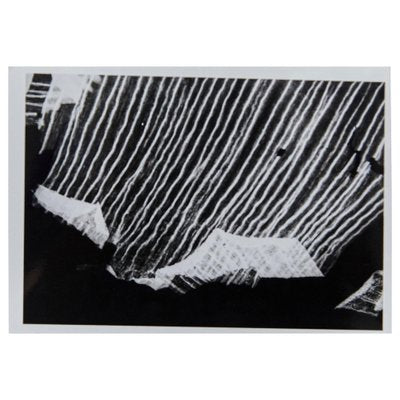 Enrico Garzaro, Flora Photogram, Black and White Photograph-WM-1044920