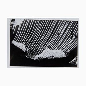 Enrico Garzaro, Flora Photogram, Black and White Photograph-WM-1044920