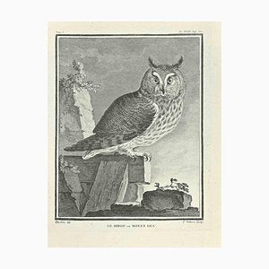 F. Hubert, Le Hibou ou Moyen Duc, Etching, 1771-ZCI-2029895