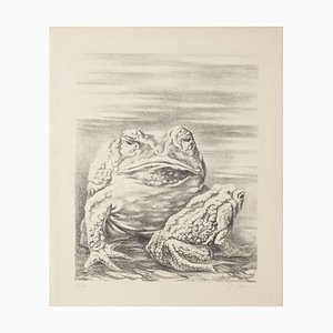 Fabrizio Clerici, the Frogs, 20th Century, Lithograph-ZCI-797587