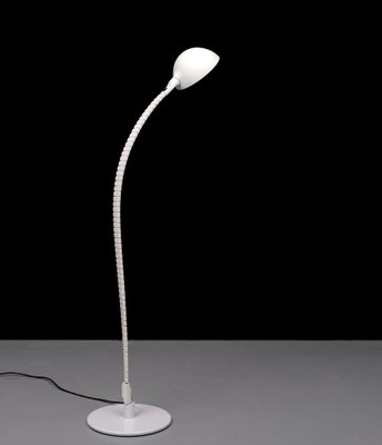 Flex Capo Floor Lamp by Elio Martinelli for Martinelli Luce, Italy, 1972-GCG-1759340