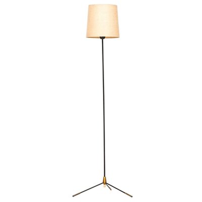 Floor Lamp Attributed to Hans Bergström from Eskilstuna Elektro Fabrik, Sweden, 1950s-SC-762455