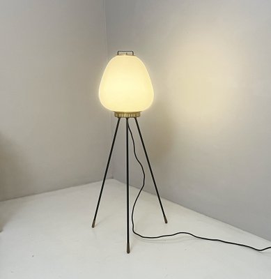 Floor Lamp from Stilnovo, 1950s-LKT-1815297