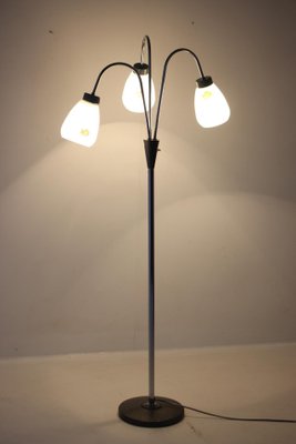 Floor Lamp with Glass Shades, Czechoslovakia, 1960s-TZ-1407612