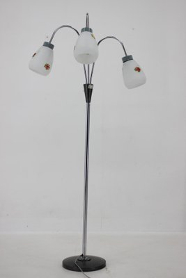 Floor Lamp with Glass Shades, Czechoslovakia, 1960s-TZ-1407612