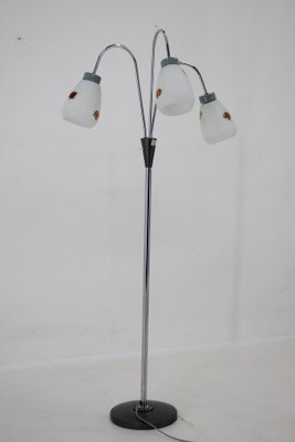 Floor Lamp with Glass Shades, Czechoslovakia, 1960s-TZ-1407612