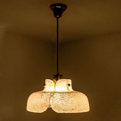 Flower Pendant Lamp from Hillebrand, Europe, Germany-VDW-1274190