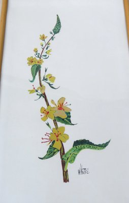 Flowers Watercolor by W. Kratz, 1950s, Set of 4-EY-716926