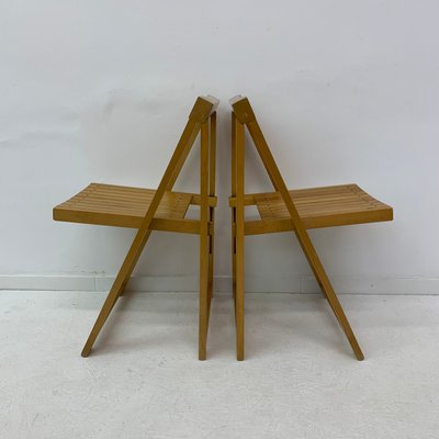 Folding Chairs by Aldo Jacober for Alberto Bazzani, 1960s, Set of 2-BGP-934902