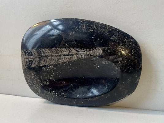 Fossilized Orthoseras Squid Polished Stone Ashtray, 1970s-LCR-2043248