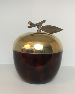 French Apple Ice Bucket in Acrylic Glass, Gilt Metal and Plastic, 1970s-BA-658351