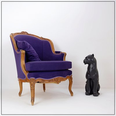 French Bergere Armchair in Velvet-NYF-2018787