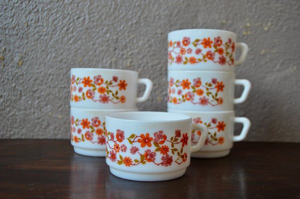 French Bohemian Mugs from Arcopal, Set of 6-AIU-1336558