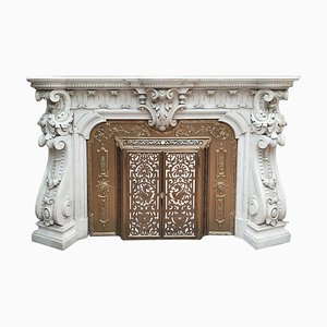 French Carved Marble Fireplace with Original Brass Insert, 1880-TDA-1376465