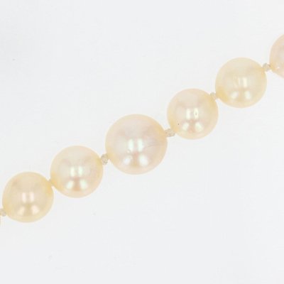 French Cream Cultured Pearl Falling Necklace-OLU-981473