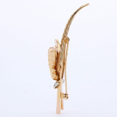 French Diamonds and 18 Karat Yellow Gold Fern Leaves Brooch, 1950s-OLU-896756