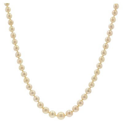 French Golden Falling Cultured Pearl Necklace, 1950s-OLU-981472