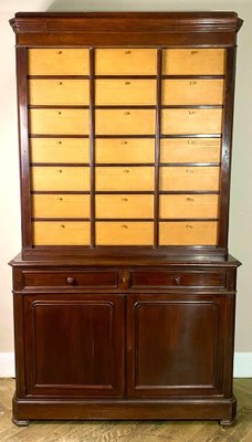 French Louis Philippe Office Filing Cabinet in Mahogany, 1850-BXG-1791564