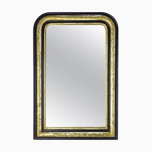 French Louis Philippe Stucco Imitation Wood and Gilding Mirror, 1870s-RIU-1377607