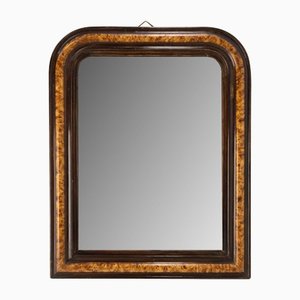 French Napoleon III Burl and Ebony Imitation Stucco Mirror, 1880s-RIU-1375033