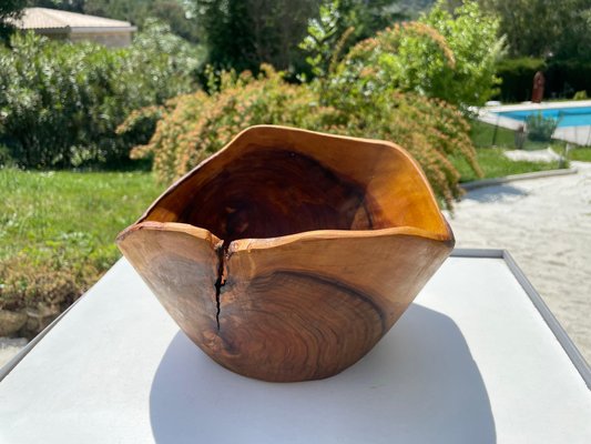 French Riviera Style Brown Bowl in Olive Wood, 1960-UR-1293625