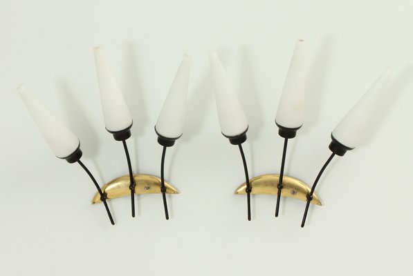 French Sconces from Arlus, 1950s, Set of 2-UB-1785155